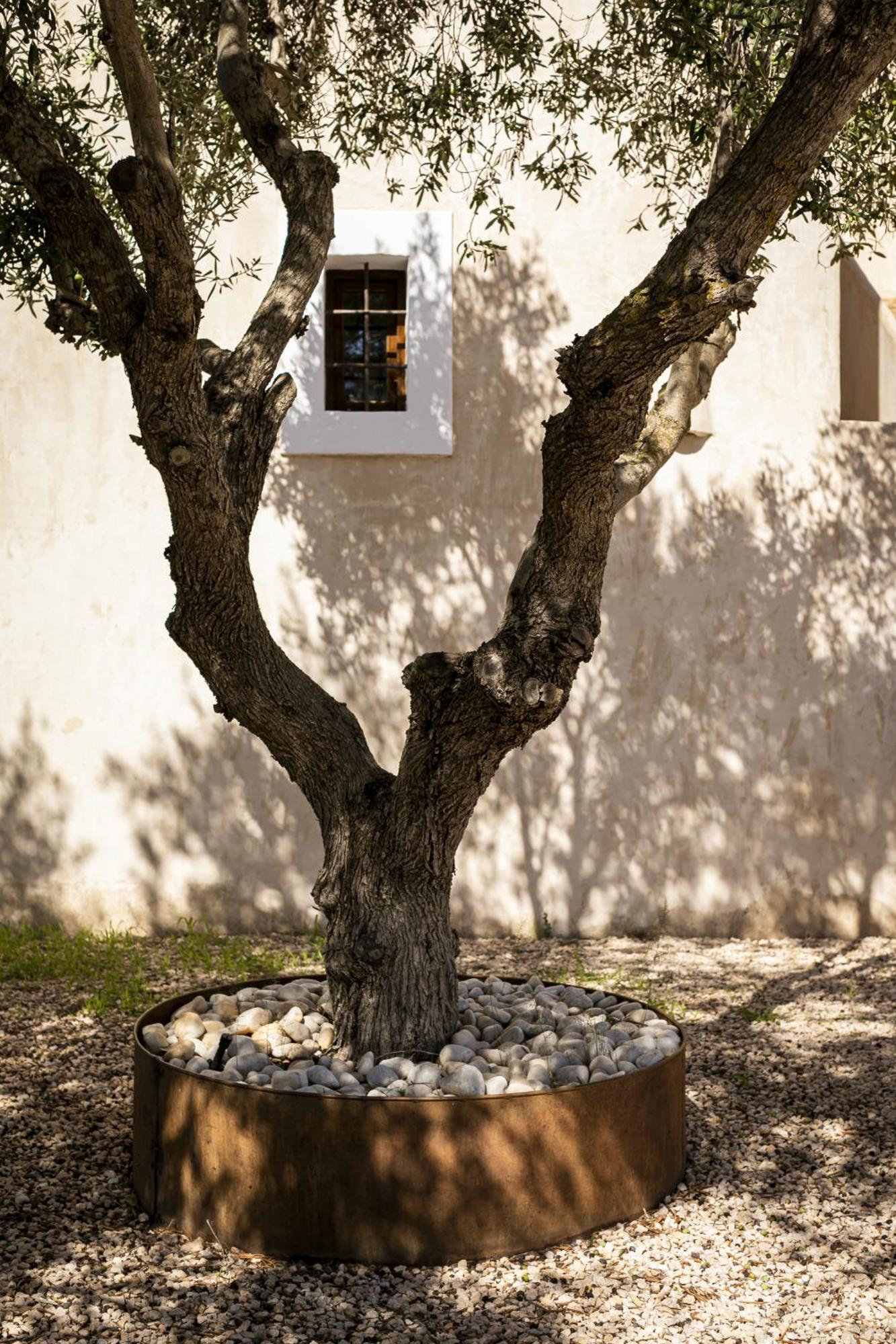 Can Noves - Villa De 4 Suites 35 Y 52 San Francisco Javier Dış mekan fotoğraf
